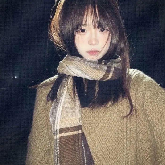 笨金鱼